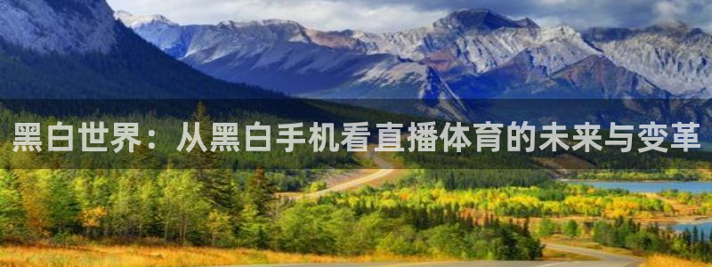 857体育赛事直播平台下载：黑白世界：从黑白手机看直播体育的未来与变革