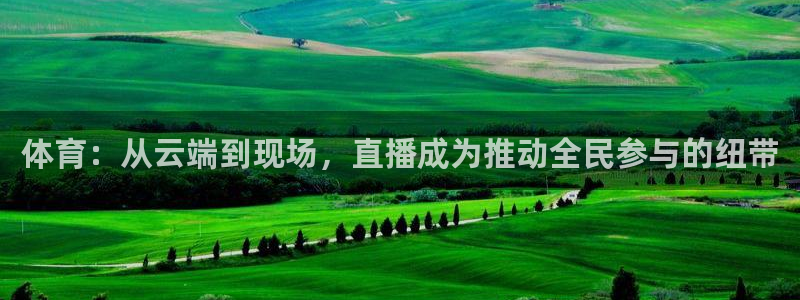 857体育直播免费观看：体育：从云端到现场，直播成为推动全民参与的纽带