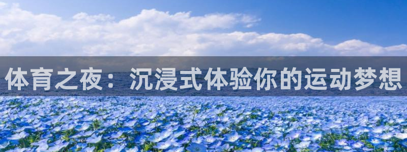 857直播体育赛事：体育之夜：沉浸式体验你的运动梦想