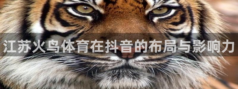 857体育赛事直播app：江苏火鸟体育在抖音的布局与影响力