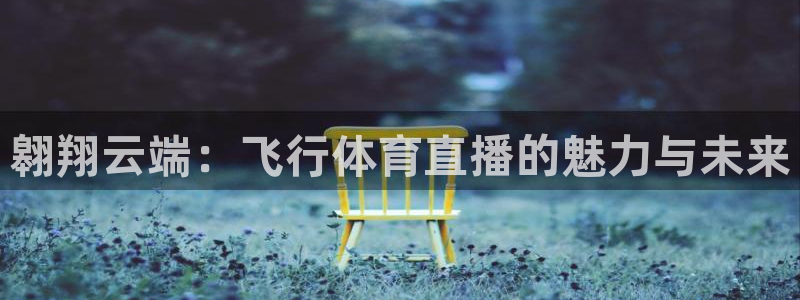 857zb1体育直播：翱翔云端：飞行体育直播的魅力与未来