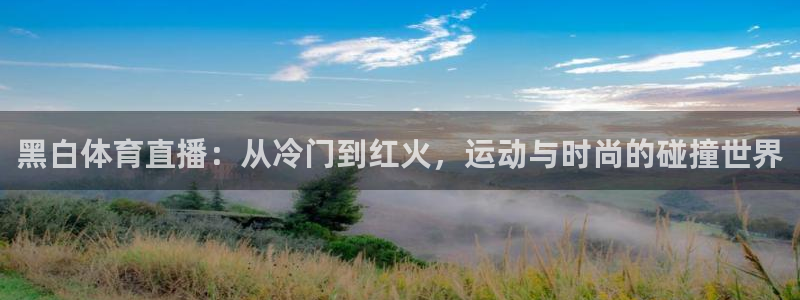 雨燕体育857直播：黑白体育直播：从冷门到红火，运动与时尚的碰撞世界