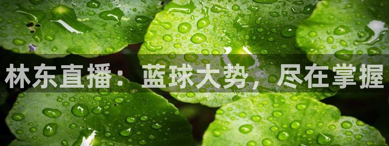 857体育赛事在线直播：林东直播：蓝球大势，尽在掌握