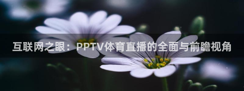 雨燕体育857直播：互联网之眼：PPTV体育直播的全面与前瞻视角