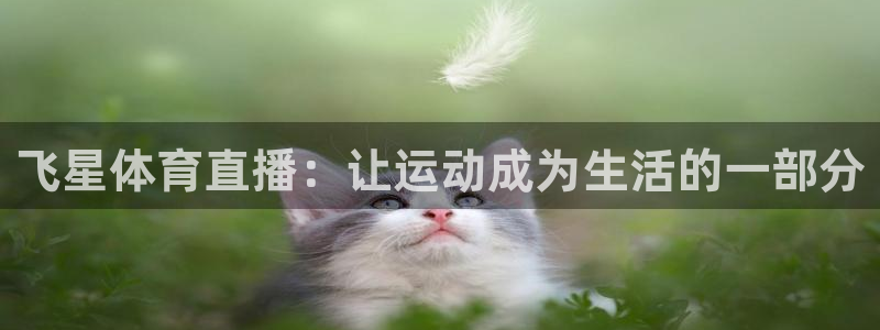 857体育赛事直播nba：飞星体育直播：让运动成为生活的一部分
