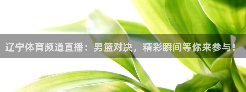 857直播体育nba：辽宁体育频道直播：男篮对决，精彩瞬间等你来参与！