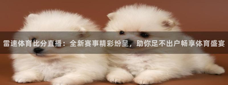 857直播平台看足球：雷速体育比分直播：全新赛事精彩纷呈，助你足不出户畅享体育盛宴