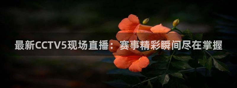 857体育赛事直播平台：最新CCTV5现场直播：赛事精彩瞬间尽在掌握
