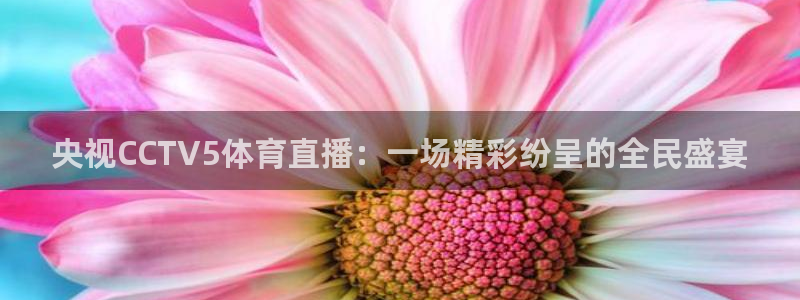 857体育赛事直播足球直播：央视CCTV5体育直播：一场精彩纷呈的全民盛宴